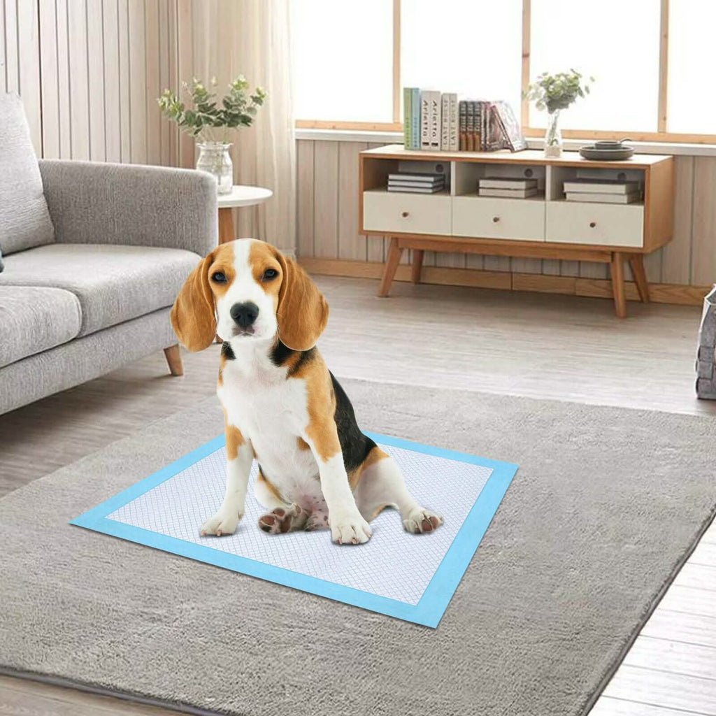 30-Piece: Ownpets Pet Dog Training Pads