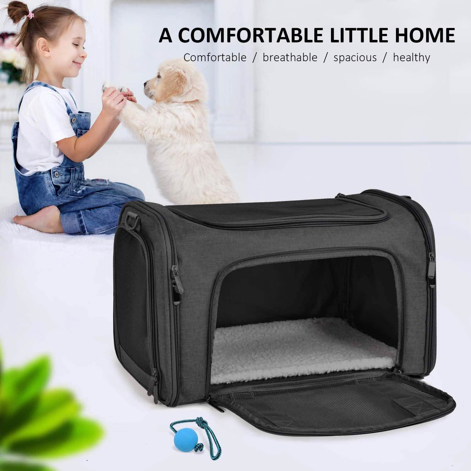Collapsible Cat Dog Carrier