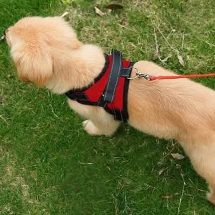 Dog Soft Adjustable Harness