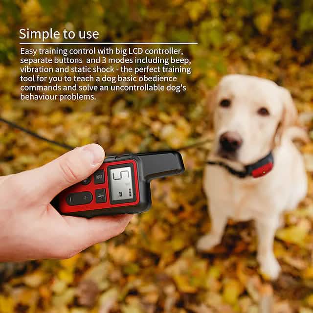 Dog Training Shock Collar